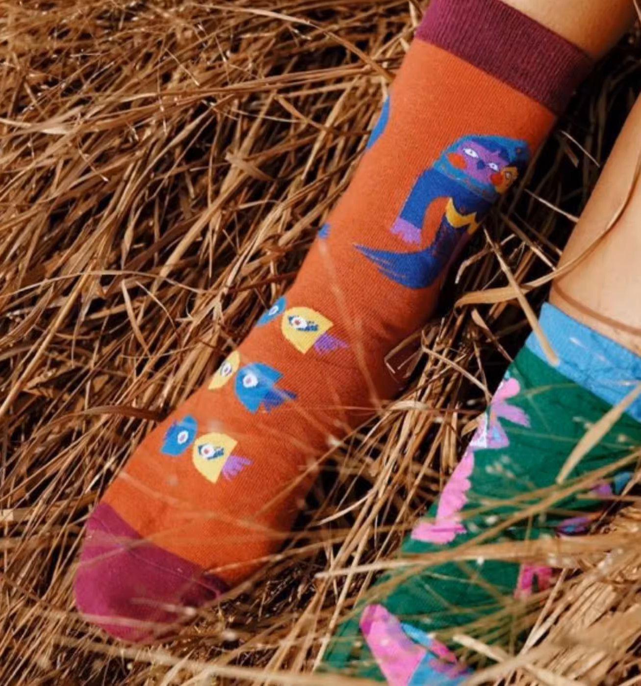 Zodiac Signs Socks